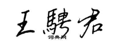 王正良王骋君行书个性签名怎么写