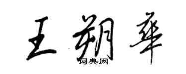 王正良王朔华行书个性签名怎么写