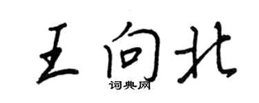王正良王向北行书个性签名怎么写
