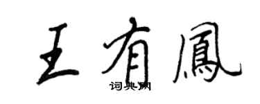 王正良王有凤行书个性签名怎么写