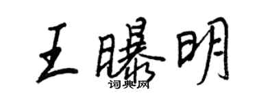 王正良王曝明行书个性签名怎么写