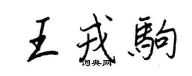 王正良王戎驹行书个性签名怎么写