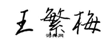 王正良王繁梅行书个性签名怎么写