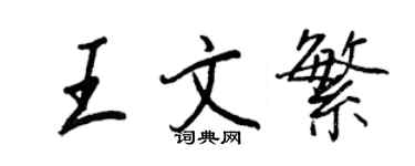 王正良王文繁行书个性签名怎么写