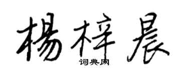 王正良杨梓晨行书个性签名怎么写