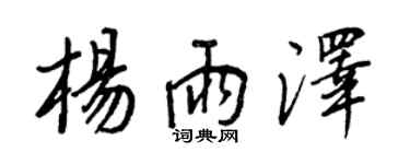 王正良杨雨泽行书个性签名怎么写
