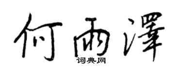 王正良何雨泽行书个性签名怎么写