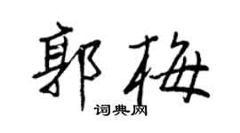 王正良郭梅行书个性签名怎么写