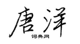 王正良唐洋行书个性签名怎么写
