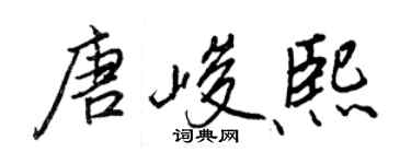 王正良唐峻熙行书个性签名怎么写