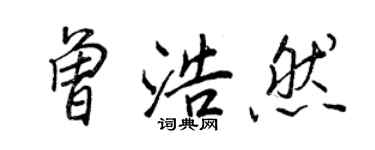 王正良曾浩然行书个性签名怎么写