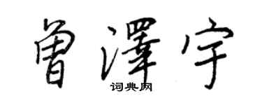 王正良曾泽宇行书个性签名怎么写