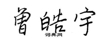 王正良曾皓宇行书个性签名怎么写