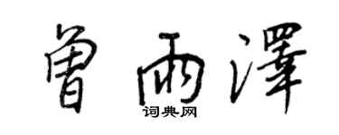 王正良曾雨泽行书个性签名怎么写