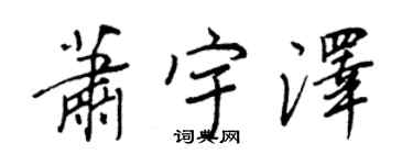 王正良萧宇泽行书个性签名怎么写