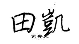 王正良田凯行书个性签名怎么写