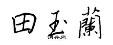 王正良田玉兰行书个性签名怎么写