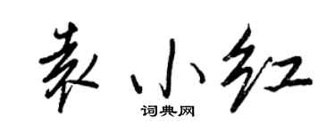 王正良袁小红行书个性签名怎么写