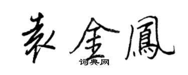王正良袁金凤行书个性签名怎么写