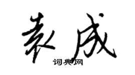 王正良袁成行书个性签名怎么写