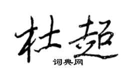 王正良杜超行书个性签名怎么写