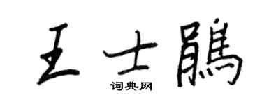 王正良王士鹃行书个性签名怎么写