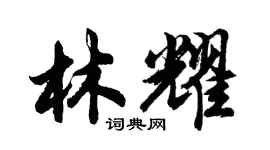 胡问遂林耀行书个性签名怎么写
