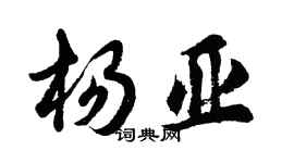 胡问遂杨亚行书个性签名怎么写