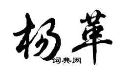 胡问遂杨革行书个性签名怎么写
