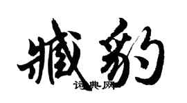 胡问遂臧豹行书个性签名怎么写