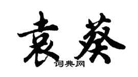 胡问遂袁葵行书个性签名怎么写