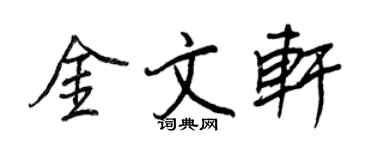 王正良金文轩行书个性签名怎么写