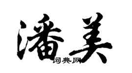 胡问遂潘美行书个性签名怎么写