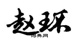 胡问遂赵环行书个性签名怎么写