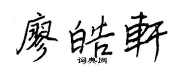王正良廖皓轩行书个性签名怎么写