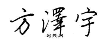 王正良方泽宇行书个性签名怎么写