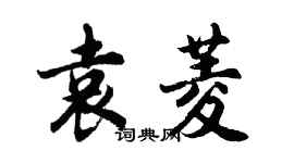 胡问遂袁菱行书个性签名怎么写