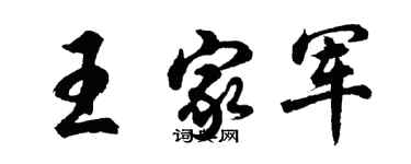 胡问遂王家军行书个性签名怎么写