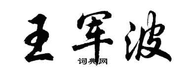 胡问遂王军波行书个性签名怎么写