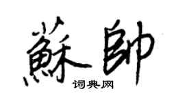 王正良苏帅行书个性签名怎么写
