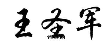 胡问遂王圣军行书个性签名怎么写