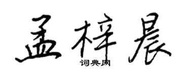 王正良孟梓晨行书个性签名怎么写