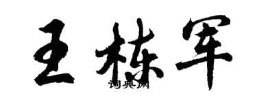胡问遂王栋军行书个性签名怎么写