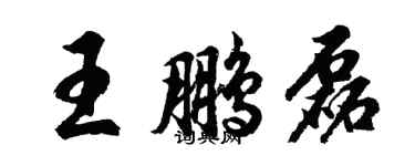 胡问遂王鹏磊行书个性签名怎么写