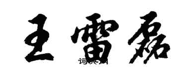 胡问遂王雷磊行书个性签名怎么写