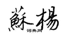 王正良苏杨行书个性签名怎么写