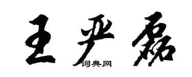 胡问遂王严磊行书个性签名怎么写