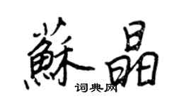 王正良苏晶行书个性签名怎么写