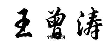 胡问遂王曾涛行书个性签名怎么写