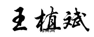 胡问遂王植斌行书个性签名怎么写